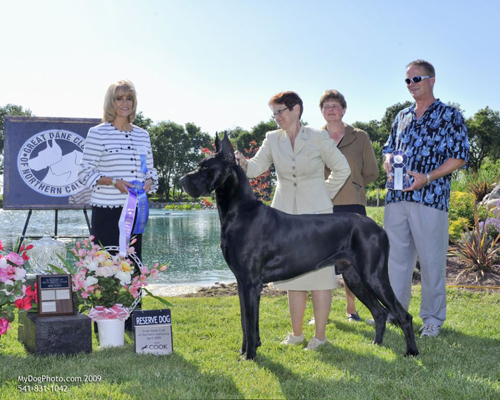 Reserve Winners Dog - VALINOR'S SOUTHERN ROCK